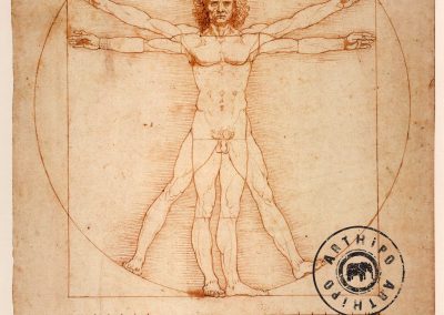 Vitruvian Adamı