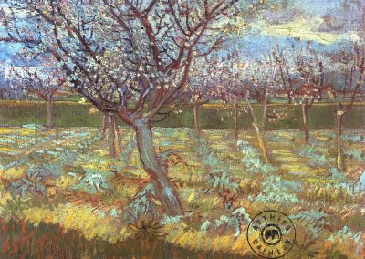 Apricot Tree in Bloom 1888 Kayısı Ağacı Çiçeklenmesi