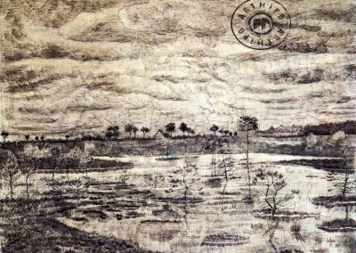 A Marsh 1881 Bataklık