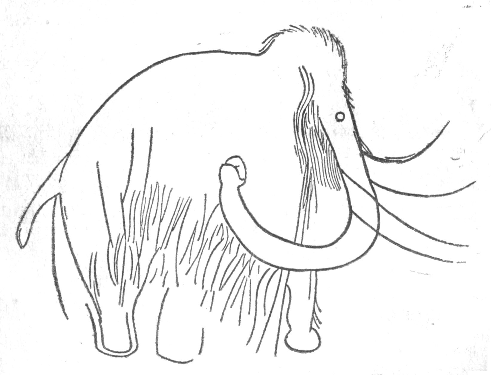 tarih öncesi devirde sanat mağara resmi mamut