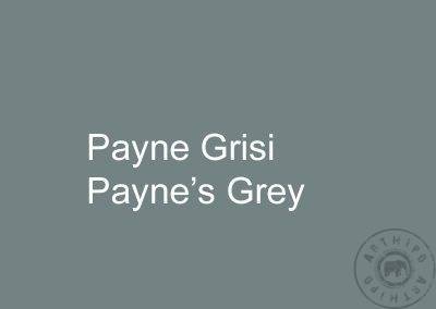 Paynes Grisi