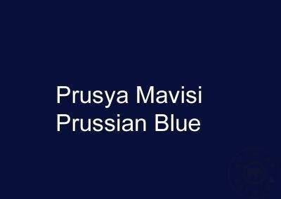 Prusya Mavisi