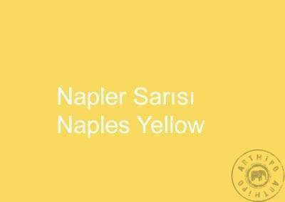 Napler Sarısı