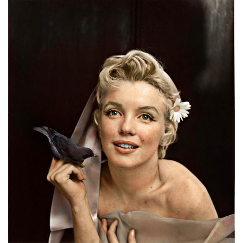 Marilyn Monroe Portre 31