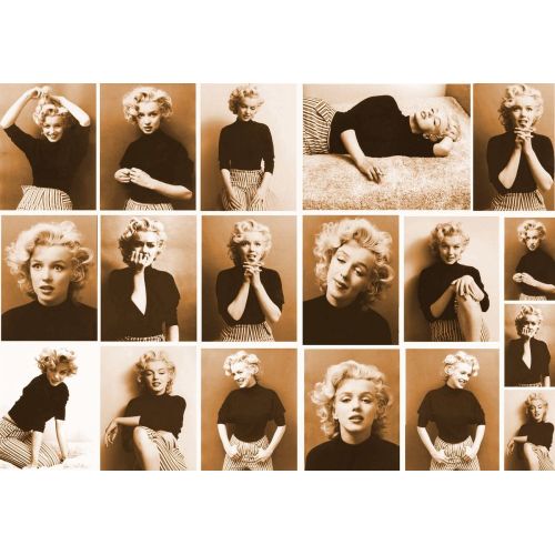 Marilyn Monroe Kahverengi Potreler