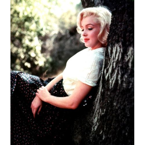 Marilyn Monroe Bir Ağaca Yaslanıyor Marilyn Monroe Bir Ağaca Yaslanıyor