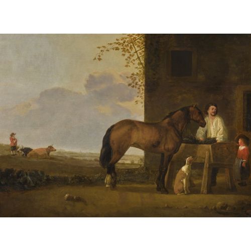 Abraham Van Calraet, Aygır