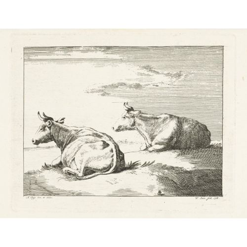 Aelbert Cuyp, Two Reclining Cows Aelbert Cuyp, Two Reclining Cows