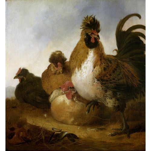 Aelbert Cuyp, Bir Horoz Ve Tavuklar Aelbert Cuyp, Bir Horoz Ve Tavuklar