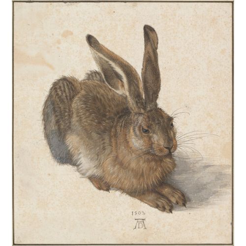 Albrecht Durer, Young Hare Animal Albrecht Durer, Young Hare Animal Canvas Prints Albrecht Dürer, Young HareIn this work, Albrecht Dürer depicts a young hare