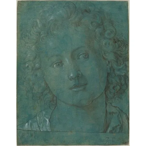 Albrecht Durer, Head Of A Boy