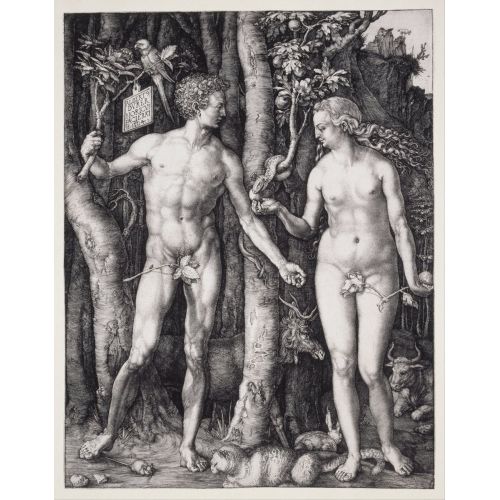 Albrecht Dürer, İnsanoğlunun Düşüşü Ve Havva