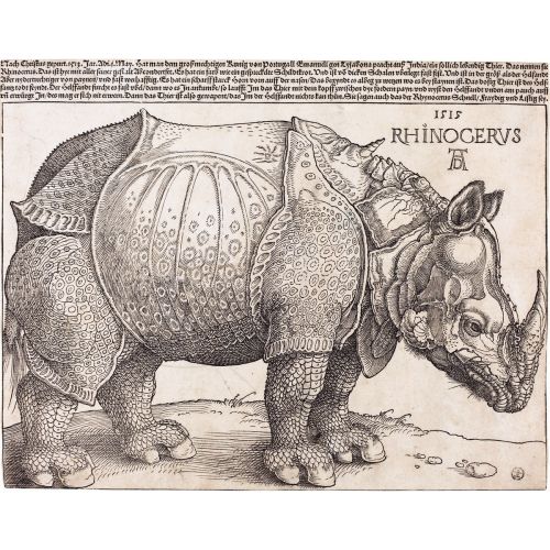 Albrecht Durer, Gergedan