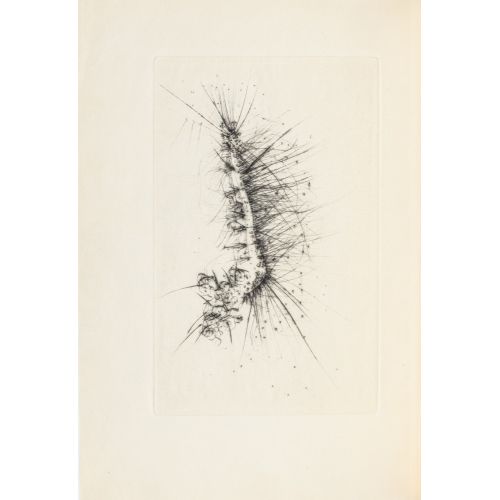 Alfred Otto Wolfgang Schulze, René de Solier Lekecilik Alfred Otto Wolfgang Schulze, René de Solier Lekecilik Sanat Akımları