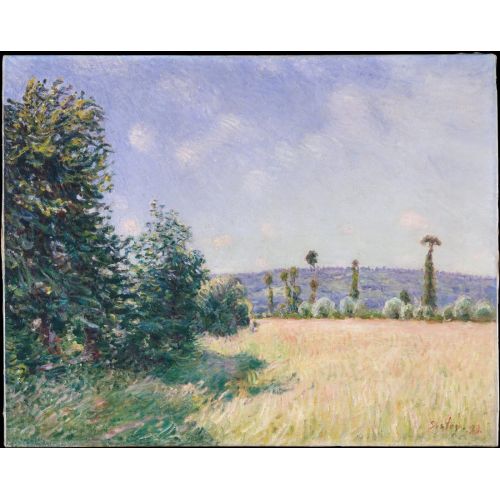 Alfred Sisley, Sahurs Çayırları Sabah Güneşinde