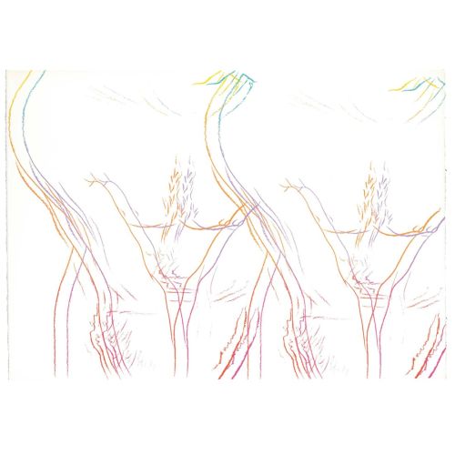 Andy Warhol, Lines Andy Warhol, Lines
