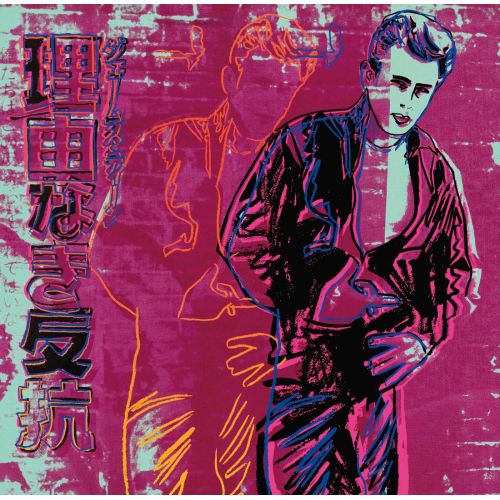 Andy Warhol, Sebepsiz Asi Andy Warhol, Sebepsiz Asi