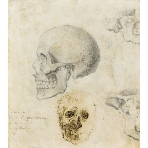 Auguste Rodin, Profilde İnsan Kafatası Ve Önüne Çizili Yüz Auguste Rodin, Profilde İnsan Kafatası Ve Önüne Çizili Yüz