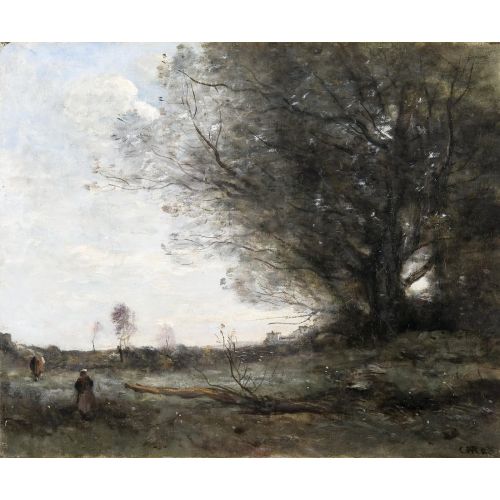 Camille Corot, Kayın Ağacı Camille Corot, Kayın Ağacı