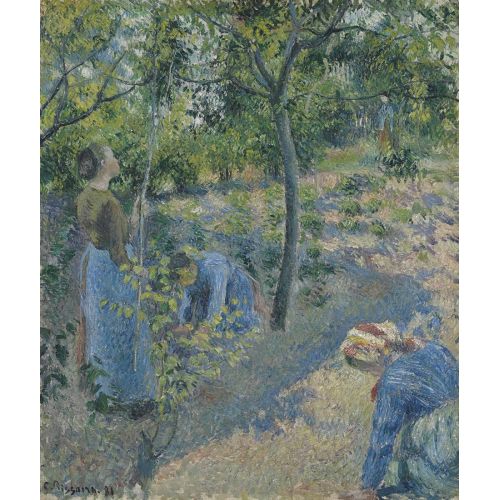 Camille Pissarro, La Cueillette Des Pommes Camille Pissarro, La Cueillette Des Pommes
