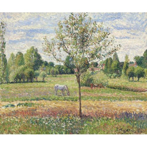 Camille Pissarro, Le Pre Avec Cheval Gris Eragny