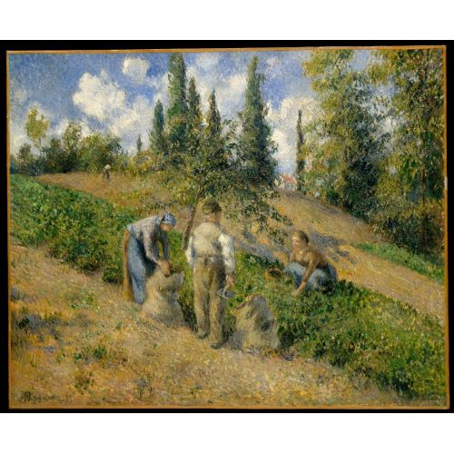 Camille Pissarro, Hasat Pontoise Camille Pissarro, Hasat Pontoise