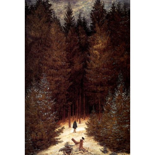 Caspar David Friedrich, Napoleon
