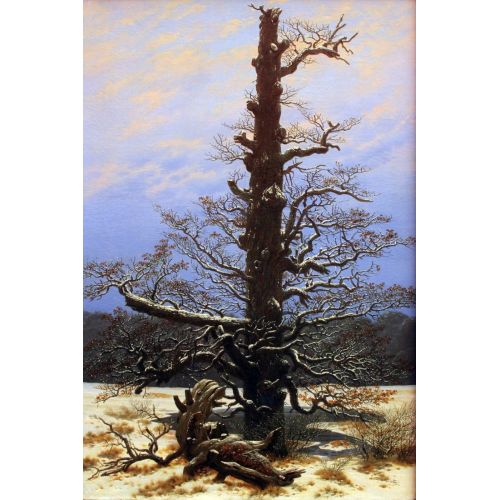 Caspar David Friedrich, Oak In The Snow