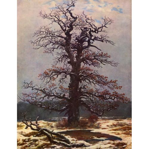 Caspar David Friedrich, Oak In The Snow