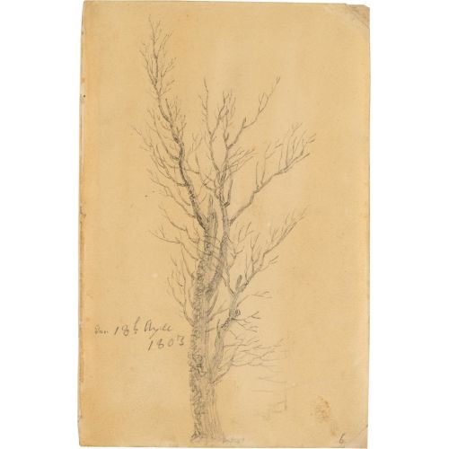 Caspar David Friedrich, Study Of A Tree Romance Caspar David Friedrich, Study Of A Tree Romance Art Movements Caspar David Friedrich, Study of a TreeThe subject of the work is a