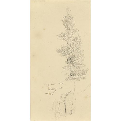 Caspar David Friedrich, Ağaç Çalışması Caspar David Friedrich, Ağaç Çalışması