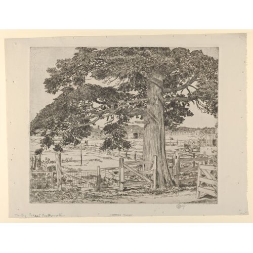Childe Hassam, Büyük Sedir Easthampton Childe Hassam, Büyük Sedir Easthampton