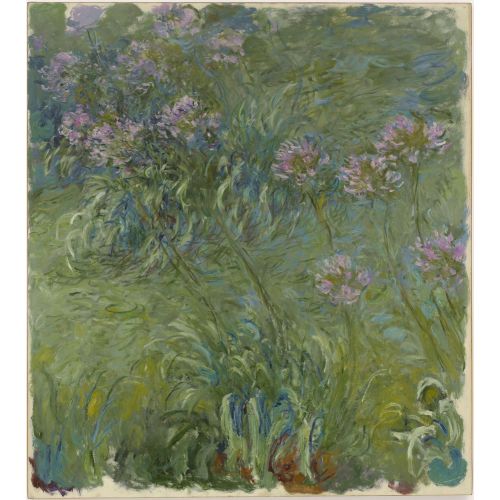 Claude Monet, Agapanthus Claude Monet, Agapanthus