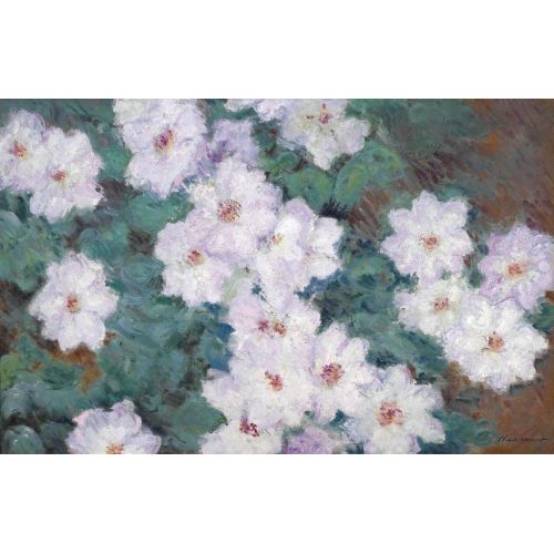 Claude Monet, Akasma