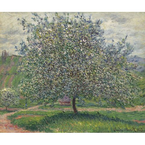 Claude Monet, Elma Ağacı
