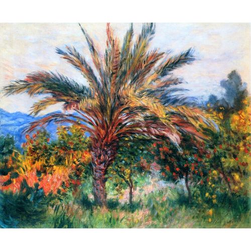 Claude Monet, Bordighera'da Palmiye Ağacı