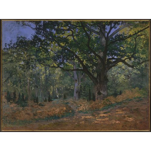 Claude Monet, Bodmer Meşe, Fontainebleau Ormanı 1560