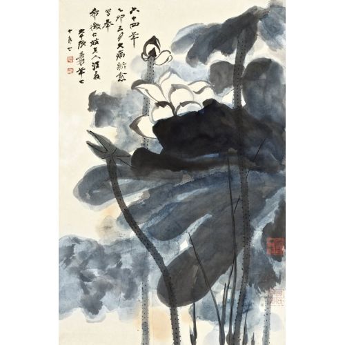 Daqian Zhang, Lotus Rezonansı