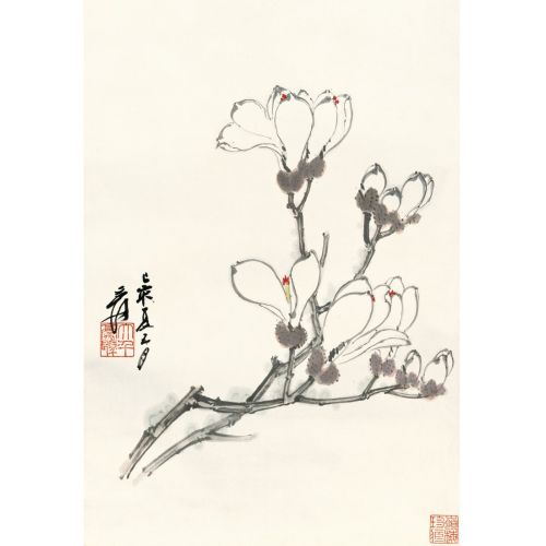Daqian Zhang, Manolya