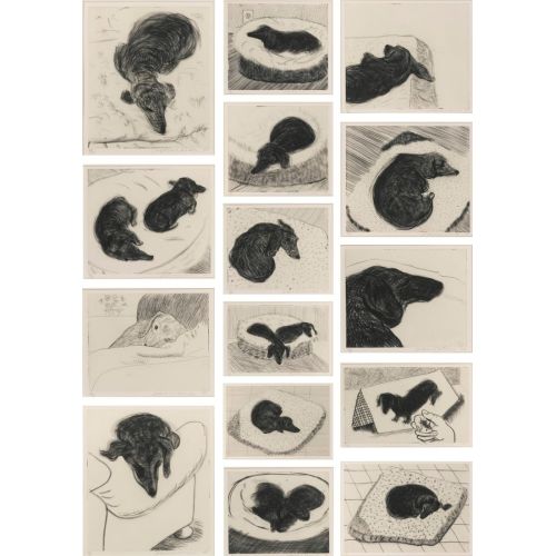 David Hockney, Dog Wall David Hockney, Dog Wall
