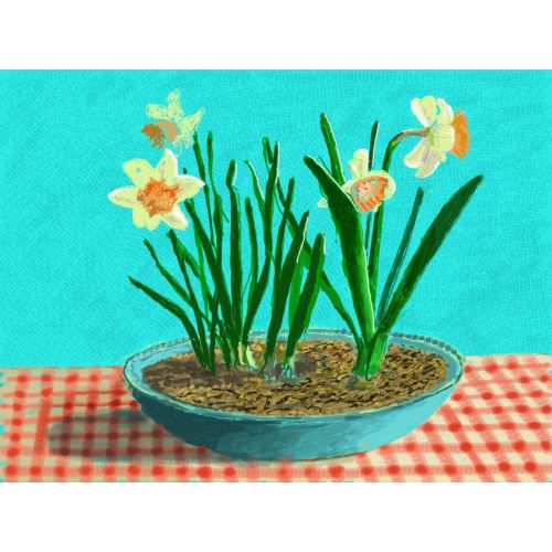David Hockney, Flowers On The Table David Hockney, Flowers On The Table