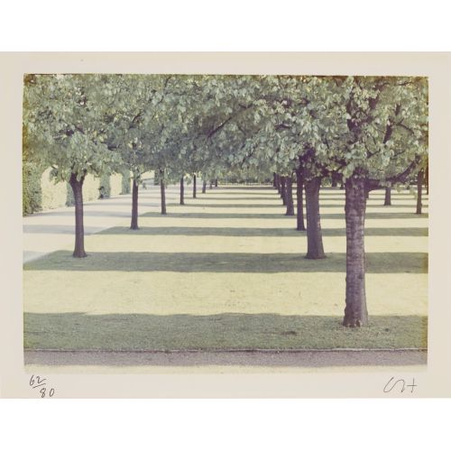 David Hockney, Herrenhauser Park Pop Art Art Movements David Hockney, Herrenhauser ParkSubject of the work: Herrenhauser Park