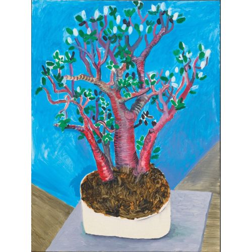 David Hockney, Jade Plant David Hockney, Jade Plant