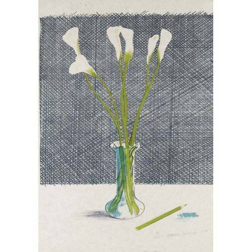 David Hockney, Lillies