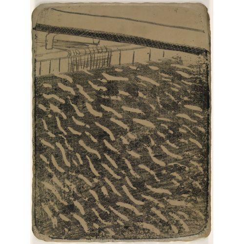 David Hockney, Lithographic Stone