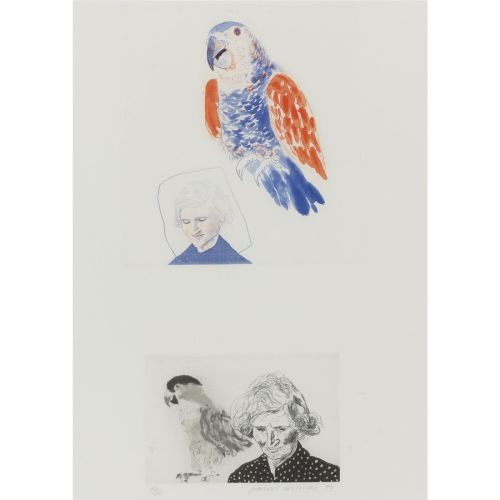 David Hockney, Annem İle Bir Papağan David Hockney, Annem İle Bir Papağan