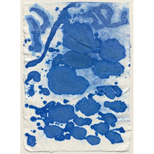 David Hockney, Paper Pulp Test V