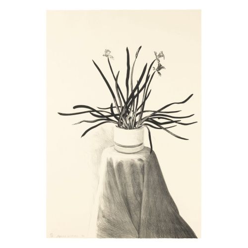 David Hockney, Potted Daffodils David Hockney, Potted Daffodils