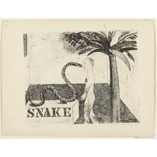David Hockney, Snake David Hockney, Snake