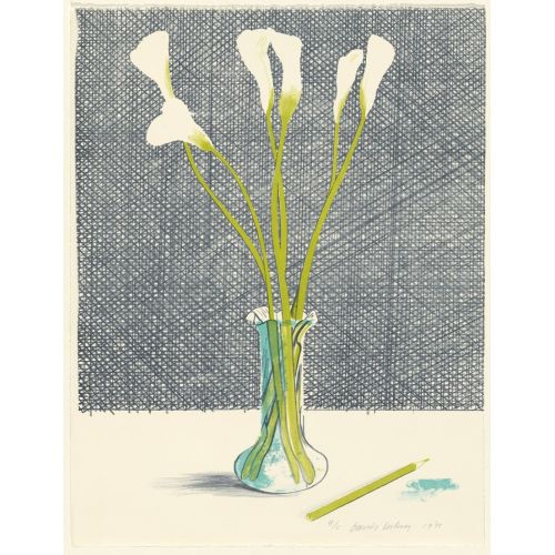 David Hockney, Still Life 1971